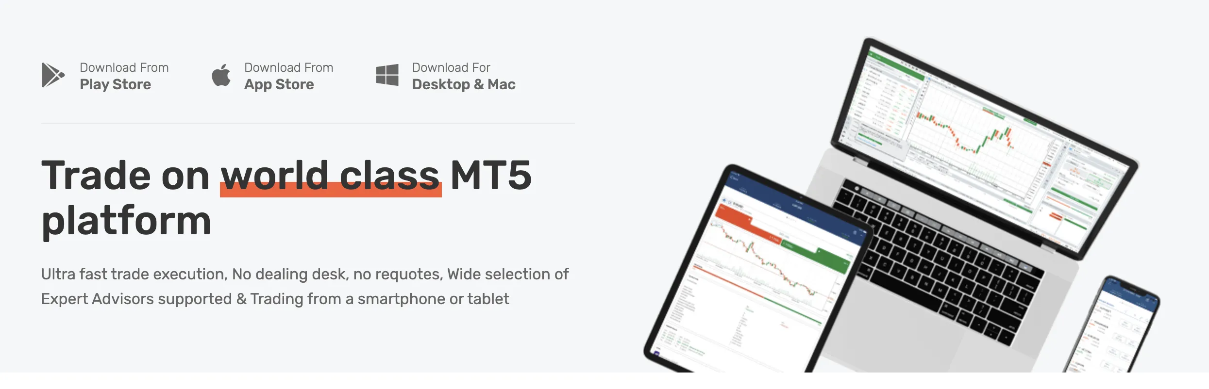 MT5