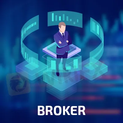 basic-info basic-info