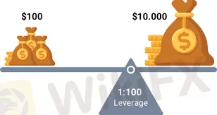 leverage