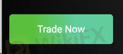 open-account open-account