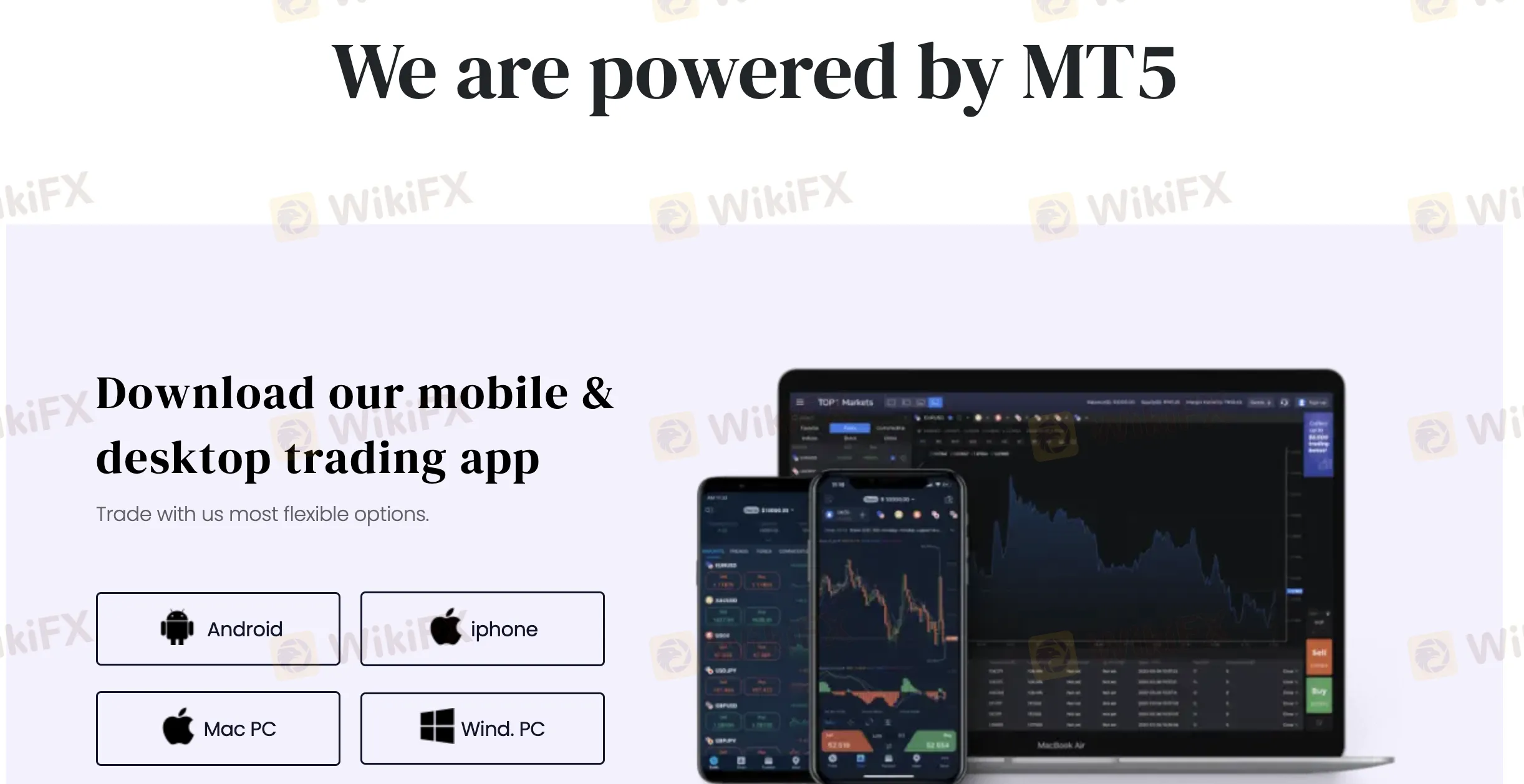 MT5
