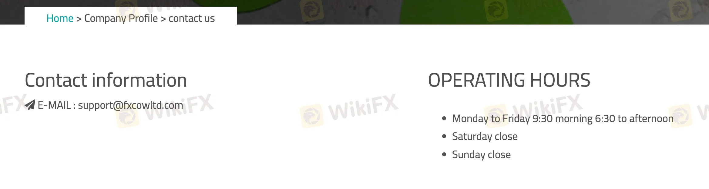 customer-support customer-support