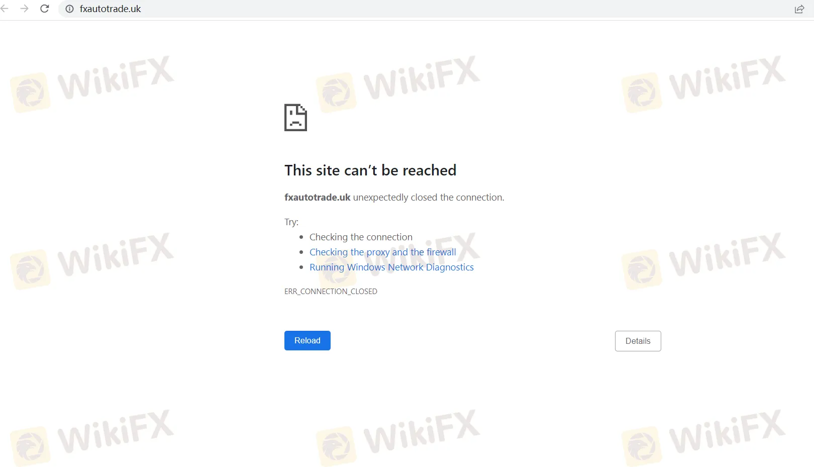 basic-info basic-info