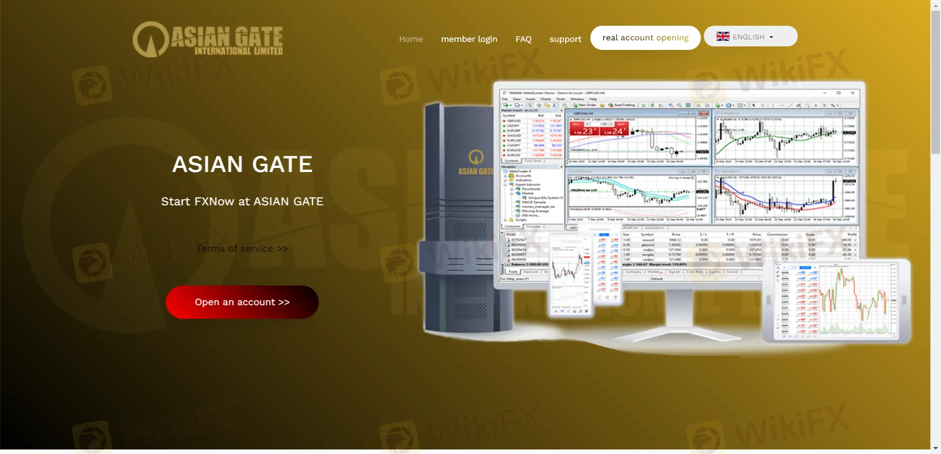 basic-info basic-info