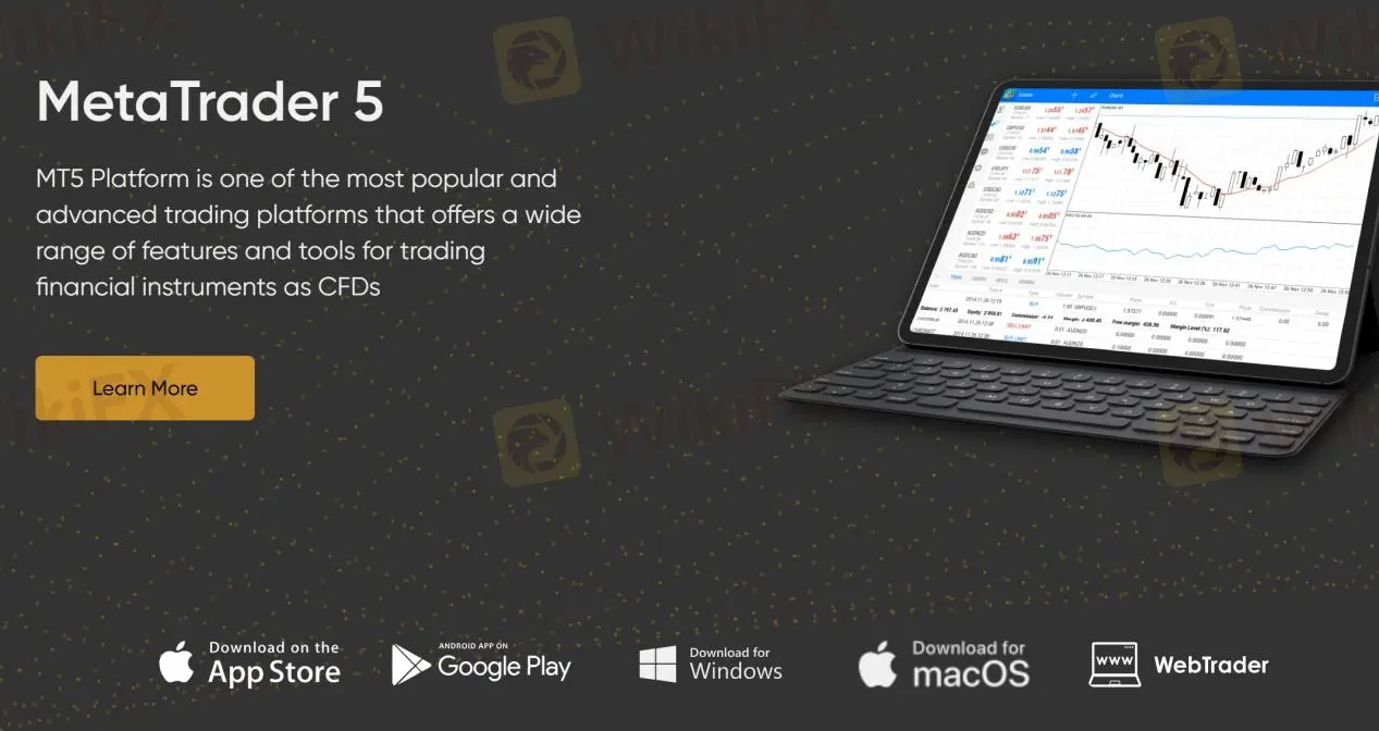 MT5