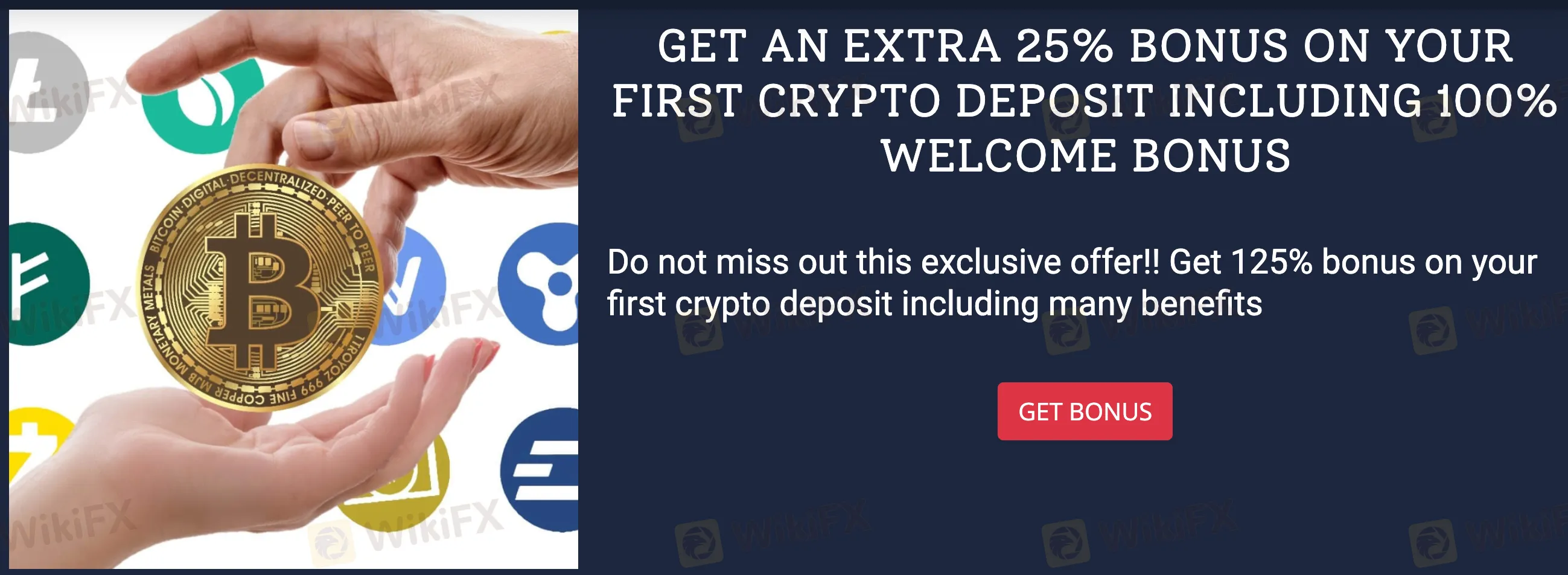 bonus bonus