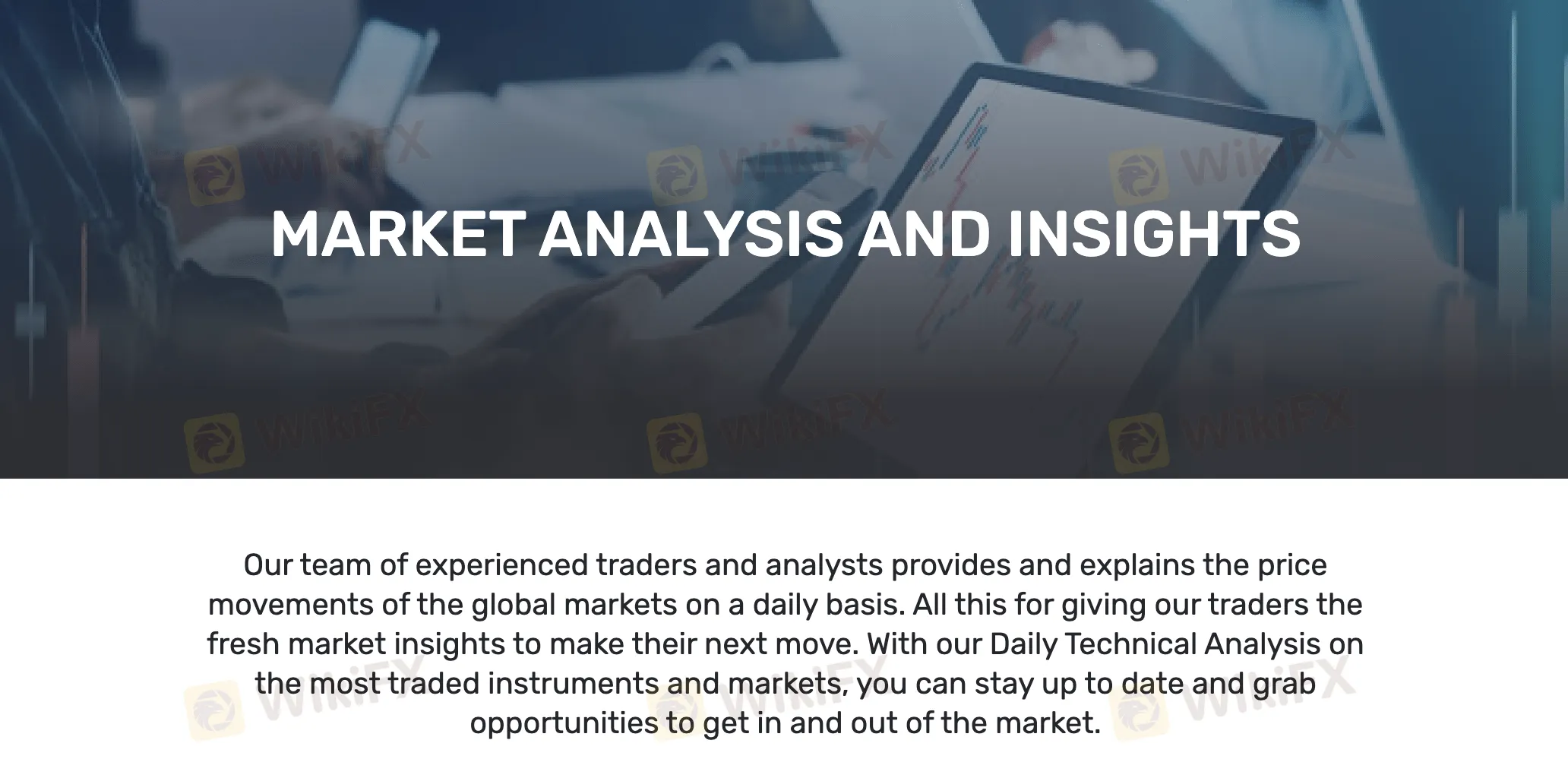 Market Analysis and Insights