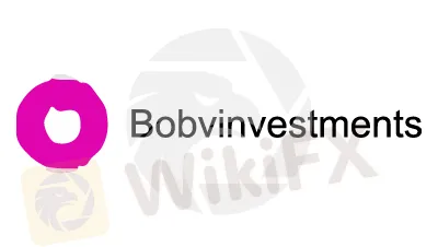 basic-info basic-info