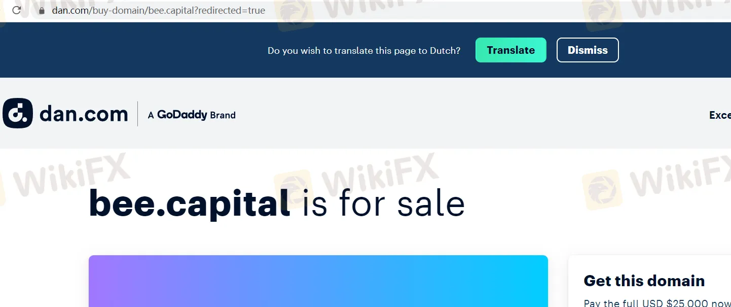 Bee Capital Review, Forex Broker&Trading Markets, Legit or a Scam-WikiFX
