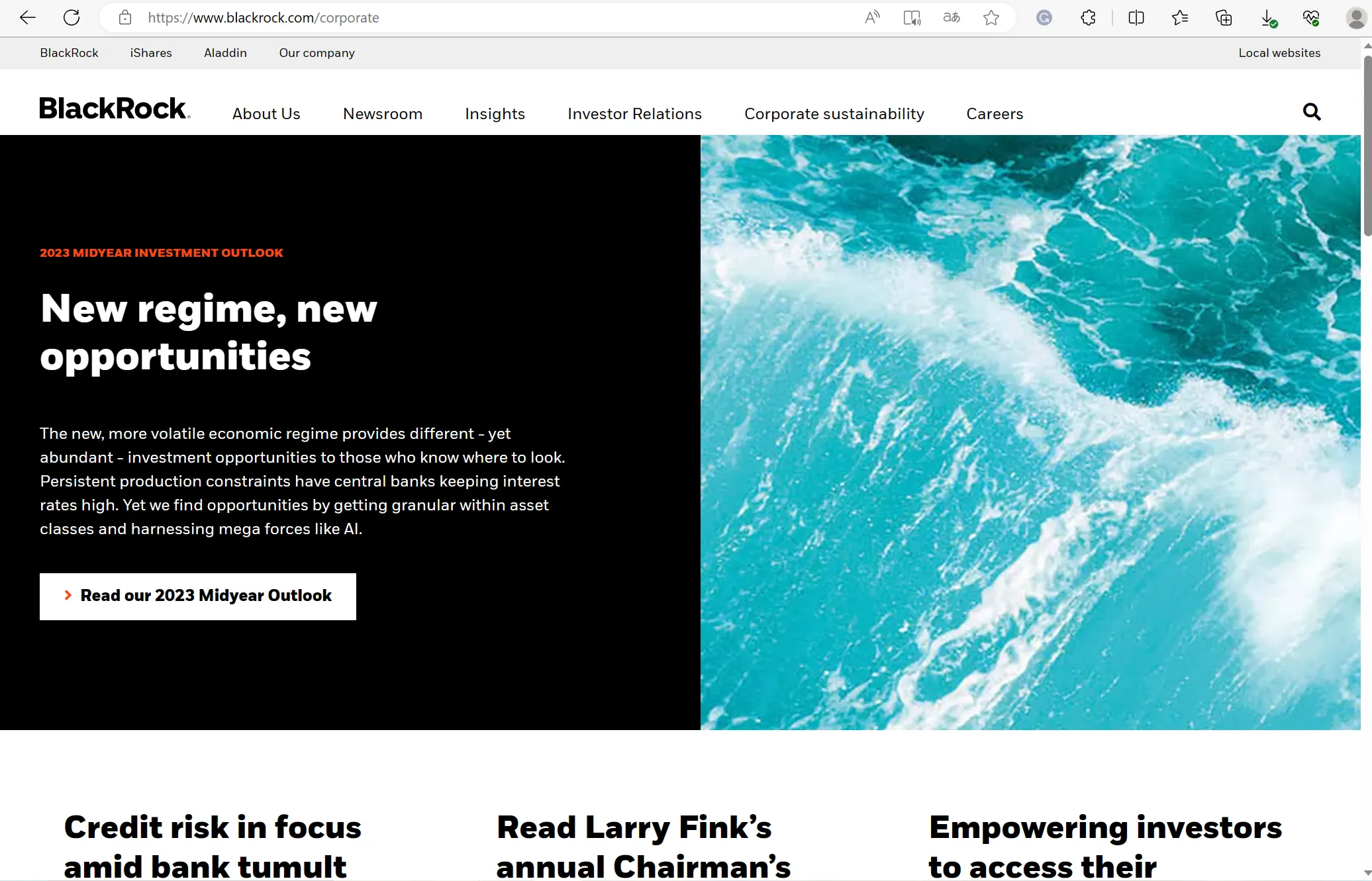 Blackrock's home page Blackrock's home page