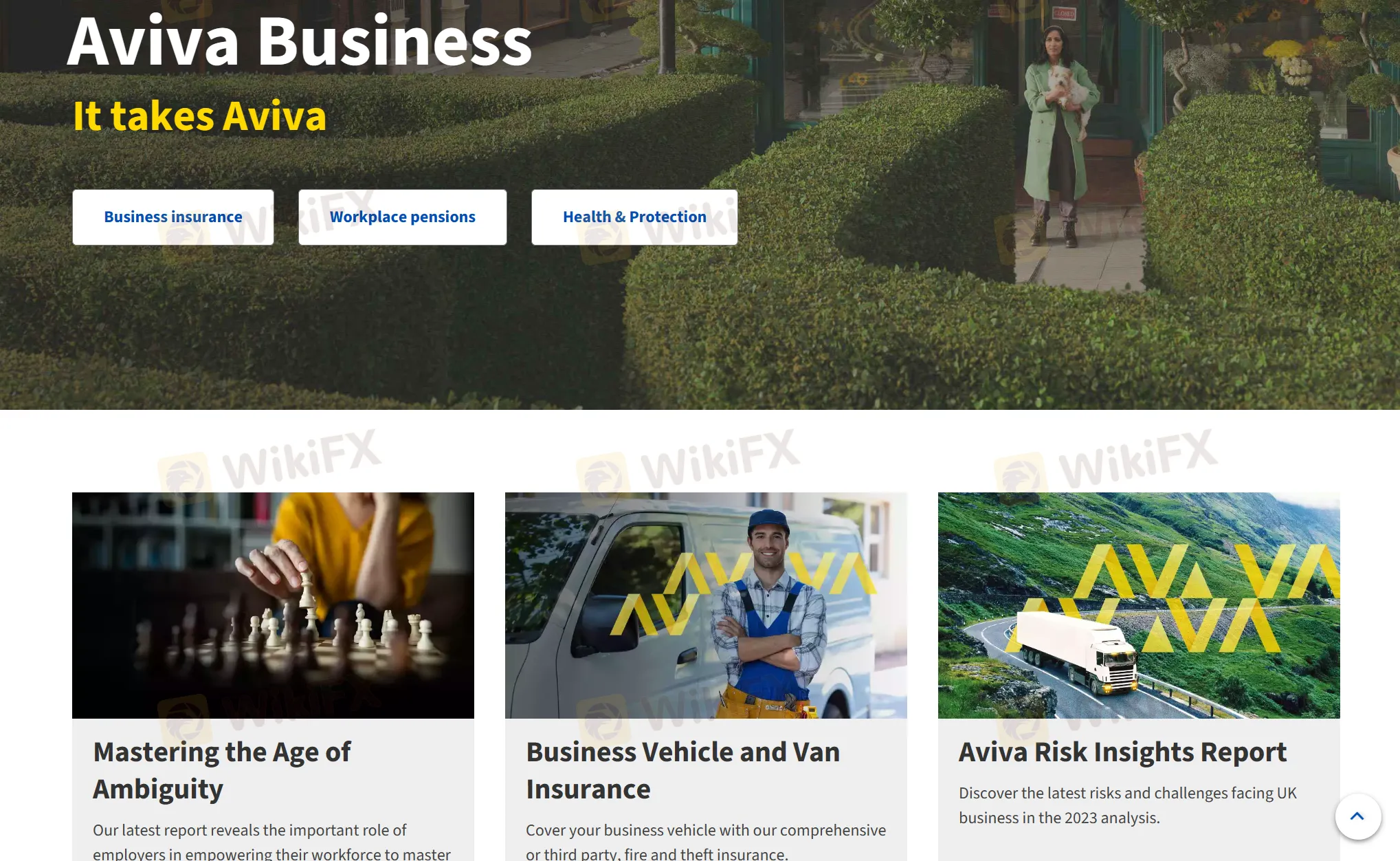For Businesses