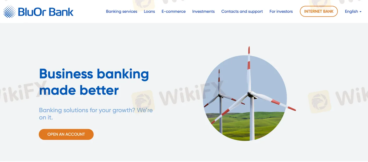 basic-info basic-info