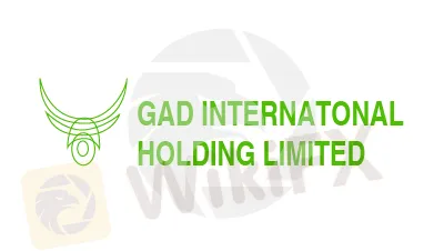 basic-info basic-info