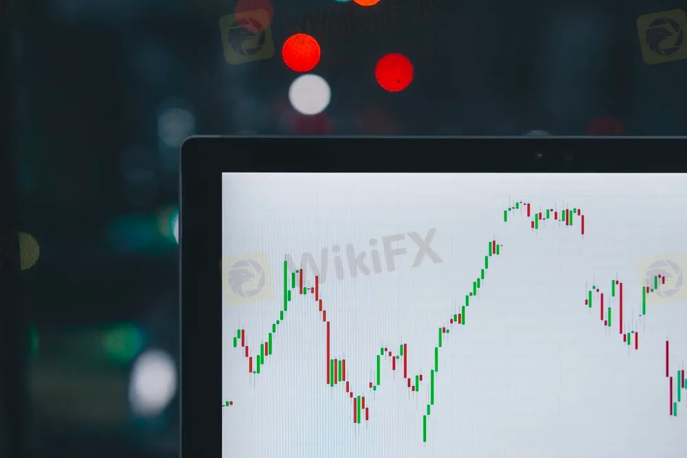 basic-info basic-info