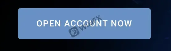 open-account open-account