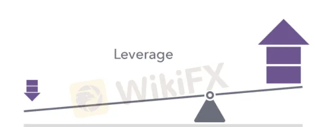 leverage leverage