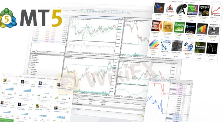 trading-platform trading-platform