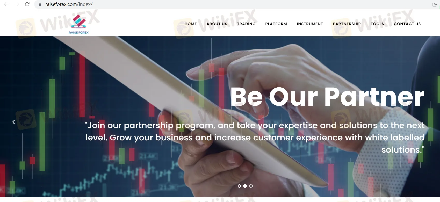 basic-info basic-info