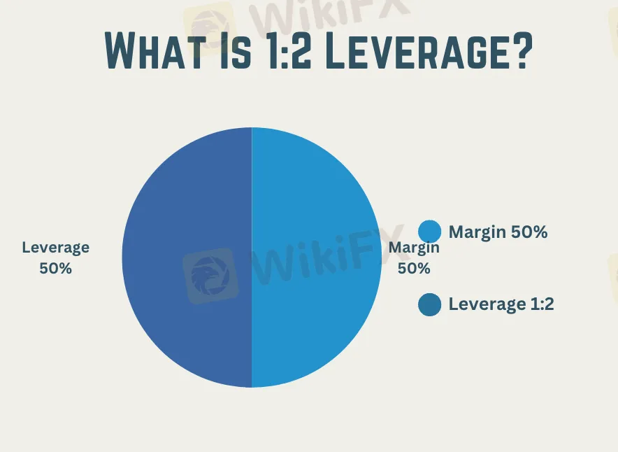 leverage 