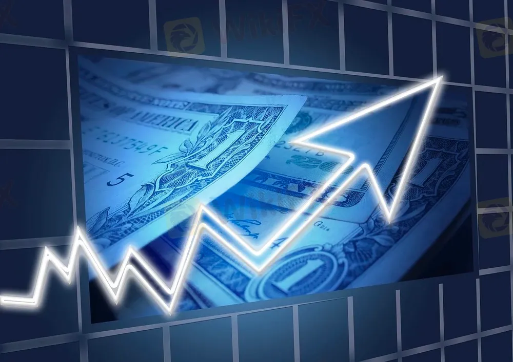 basic-info basic-info