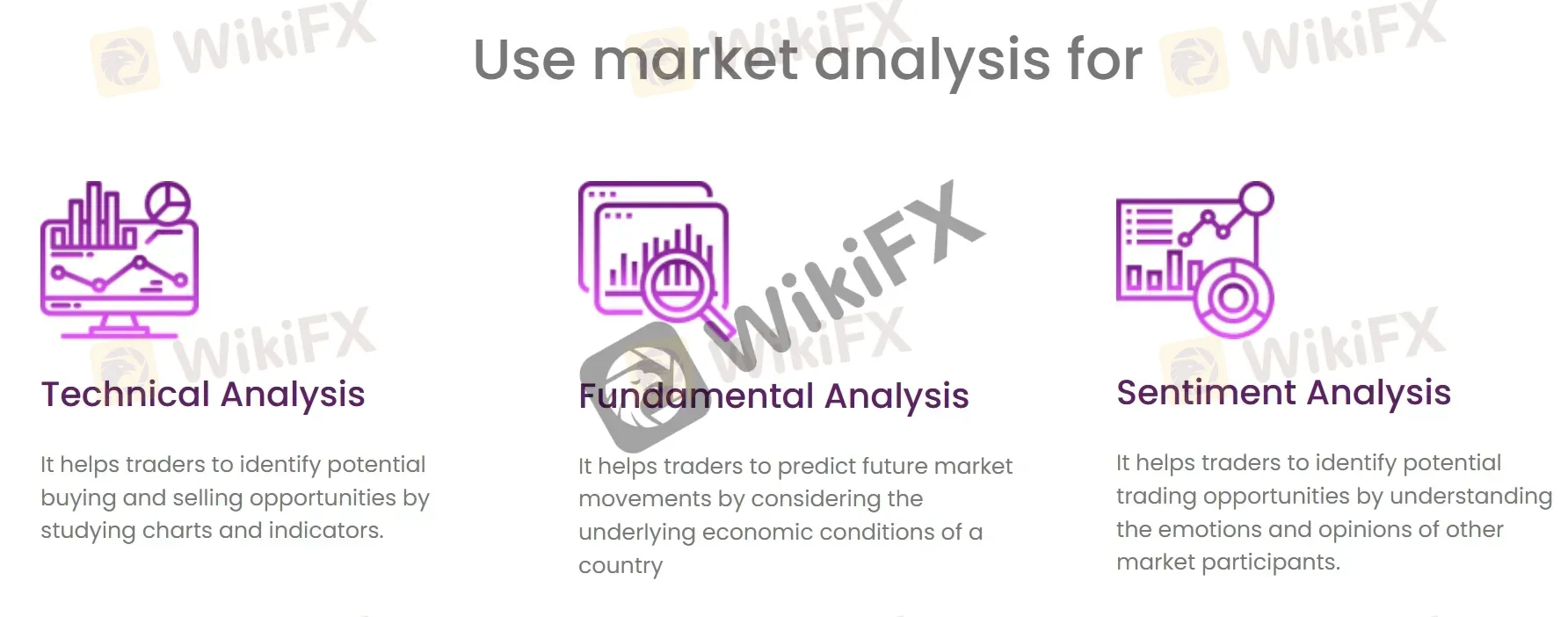 Market analysis