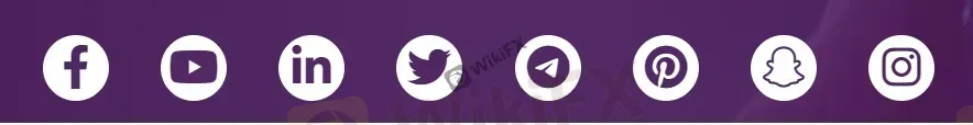 social networks