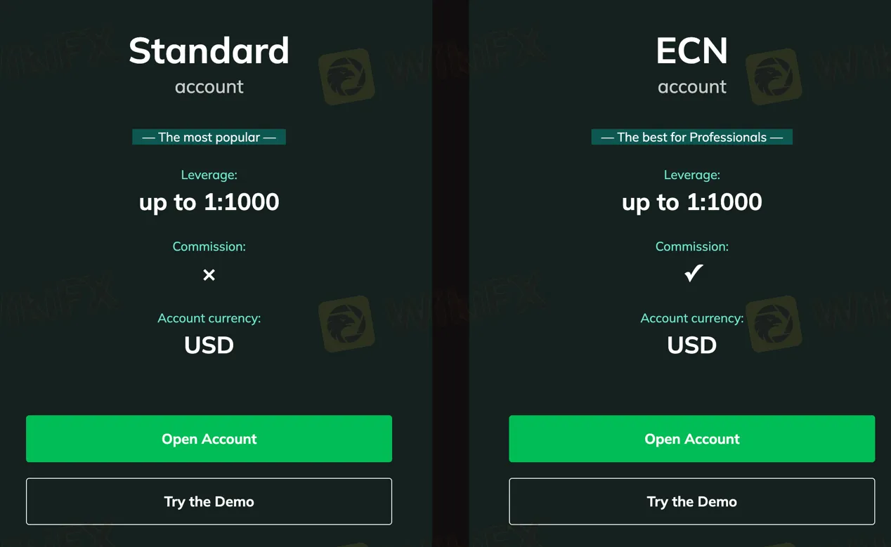 account-types account-types