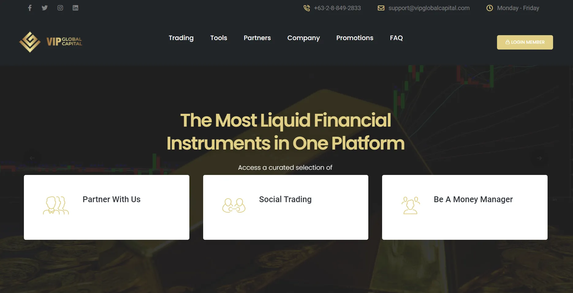 Overview of VIPGlobal Capital Overview of VIPGlobal Capital