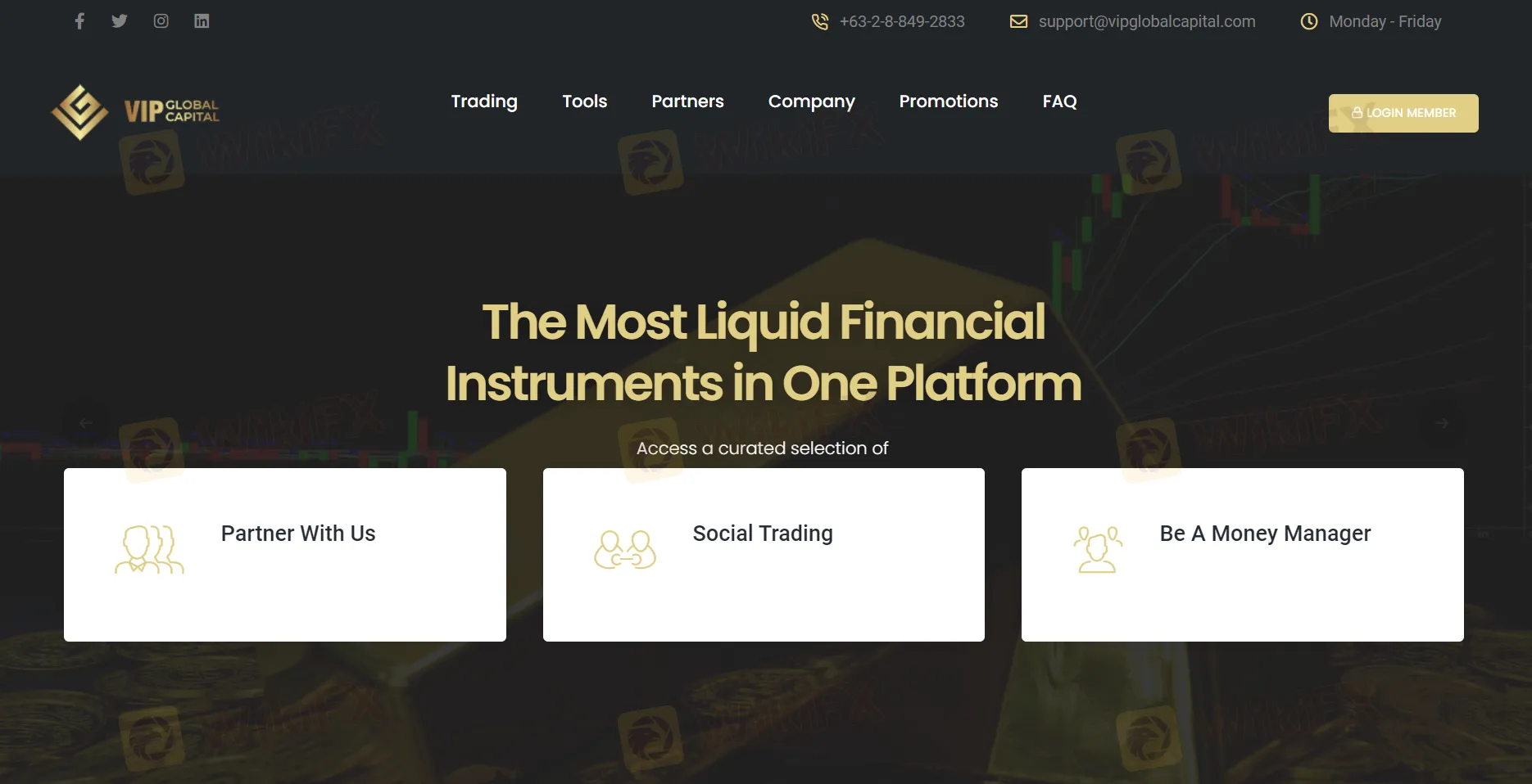 Overview of VIPGlobal Capital Overview of VIPGlobal Capital