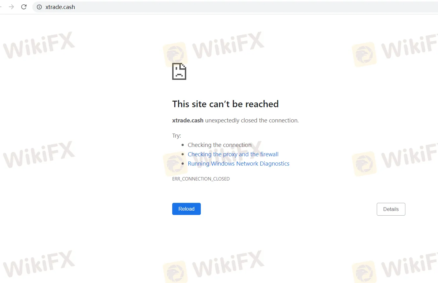 basic-info basic-info