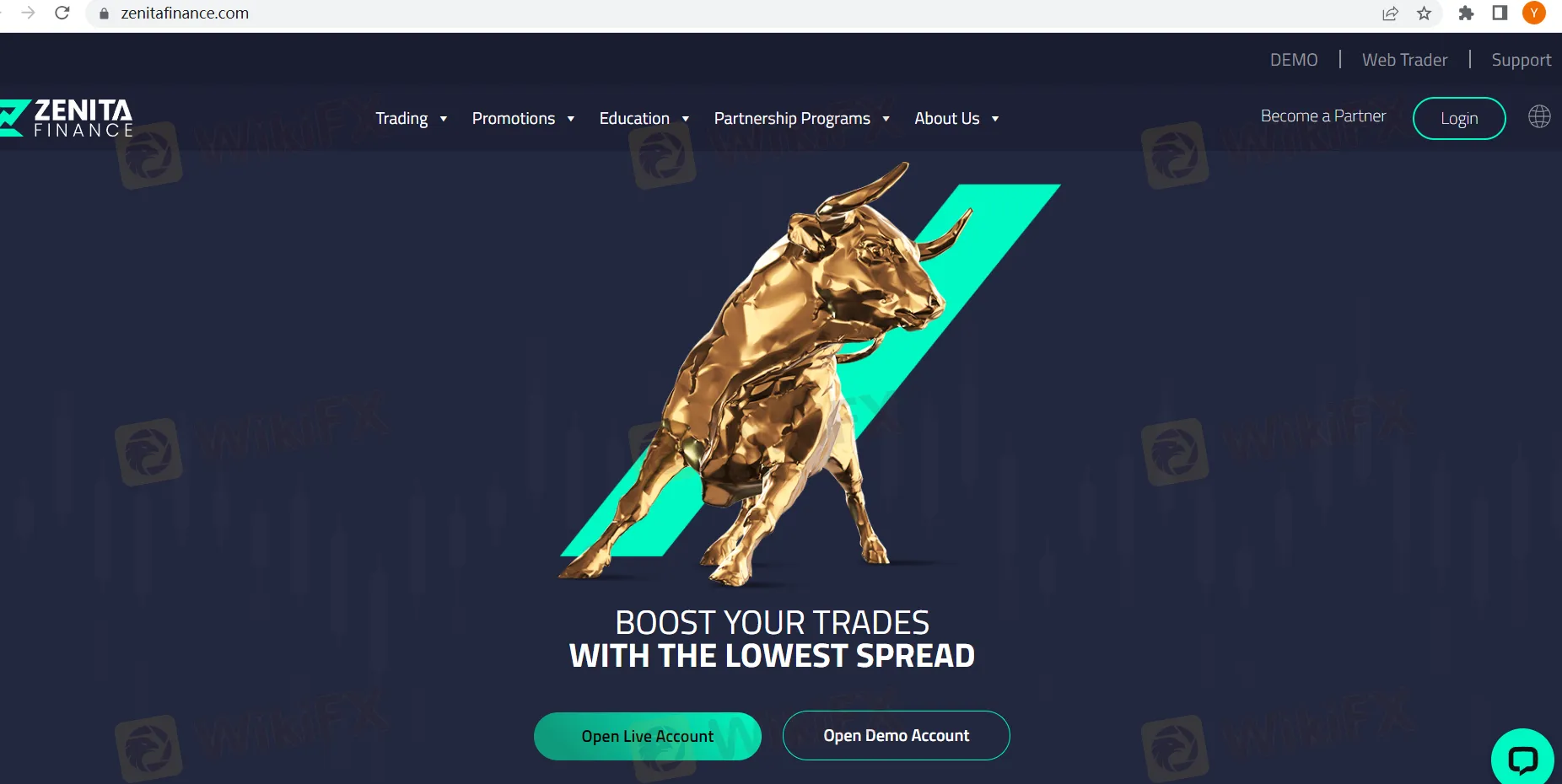 basic-info basic-info