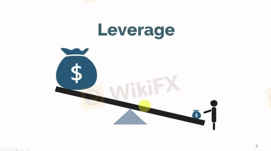 leverage 