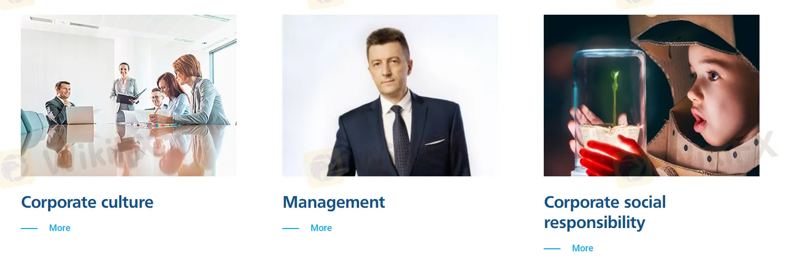 Pros and Cons Pros and Cons