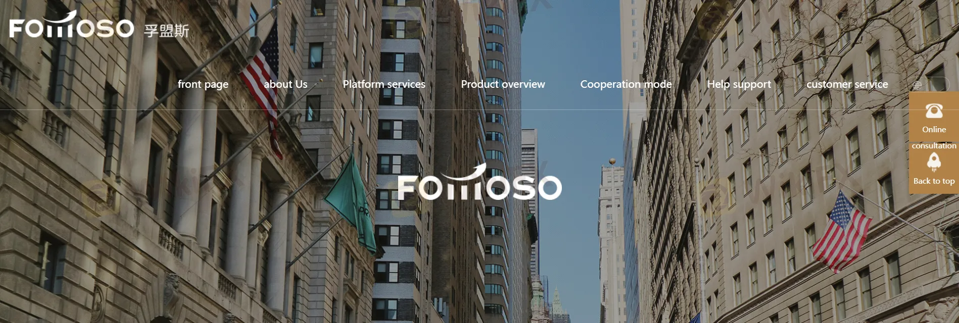 Overview of FOMOSO Overview of FOMOSO