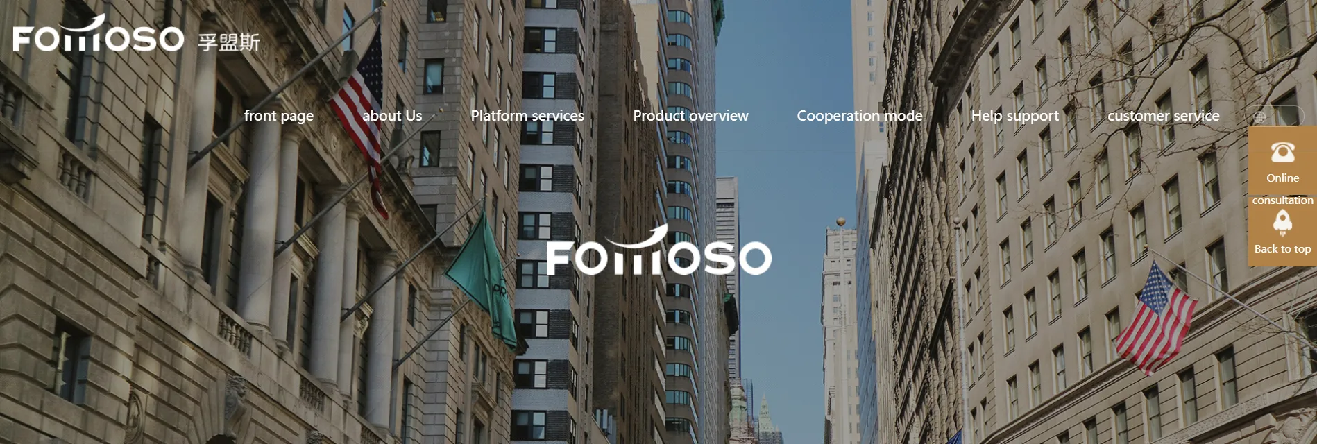 Overview of FOMOSO