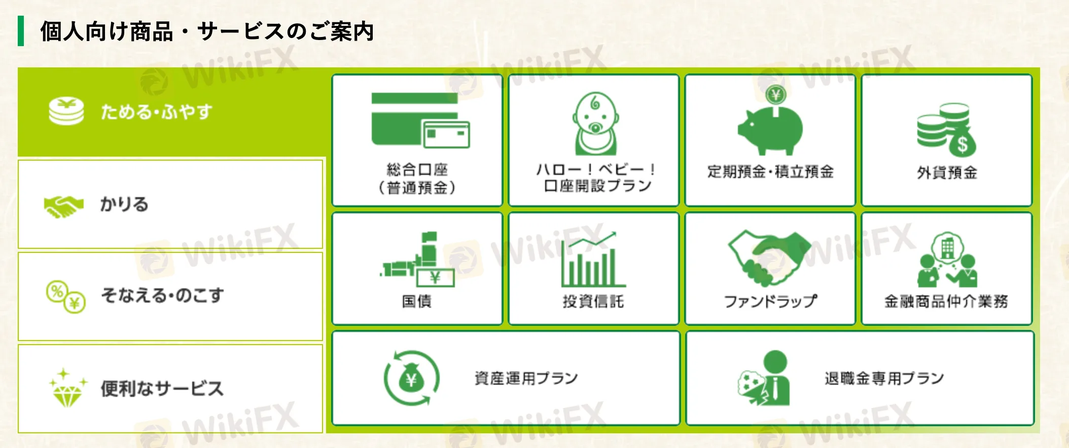 basic-info basic-info