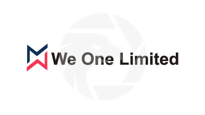 Overview of We One Limited