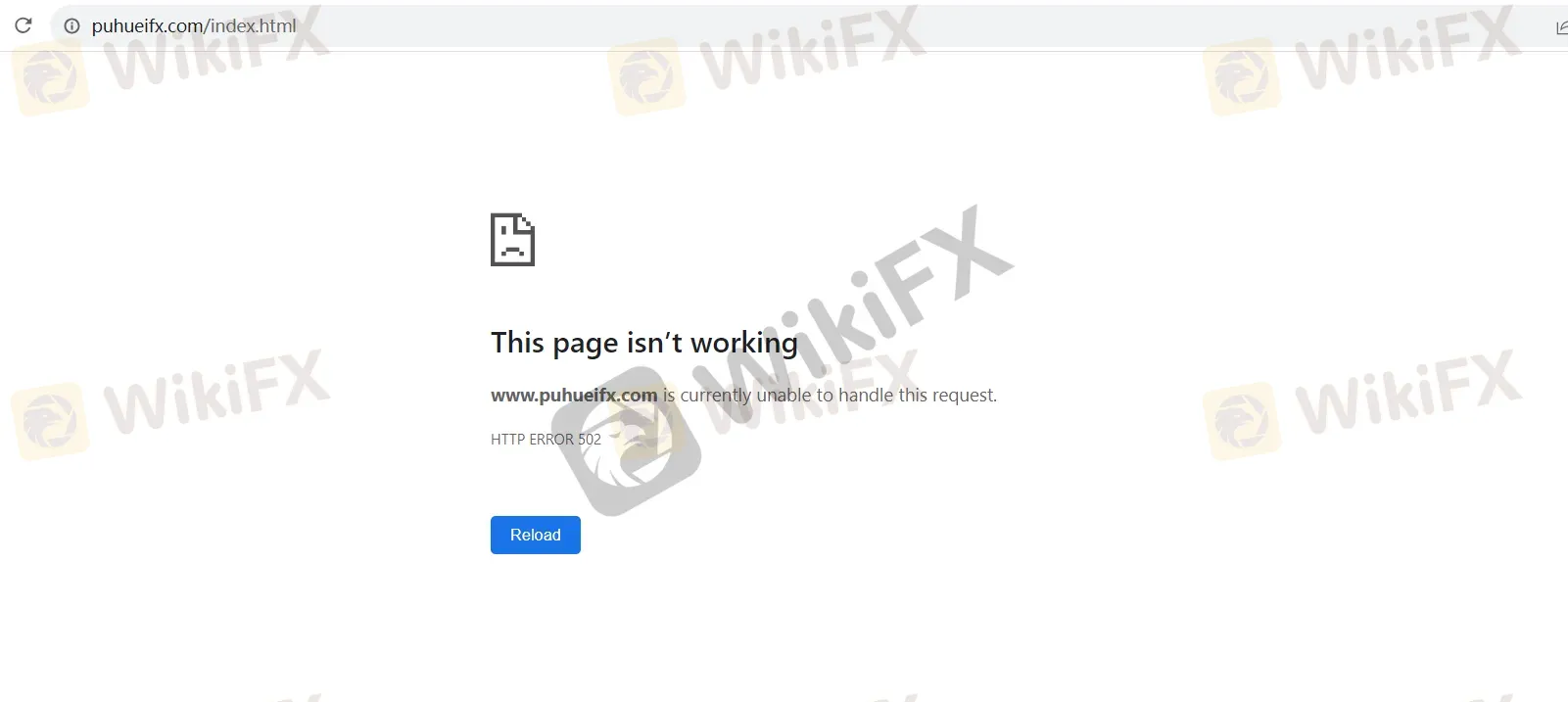 basic-info basic-info