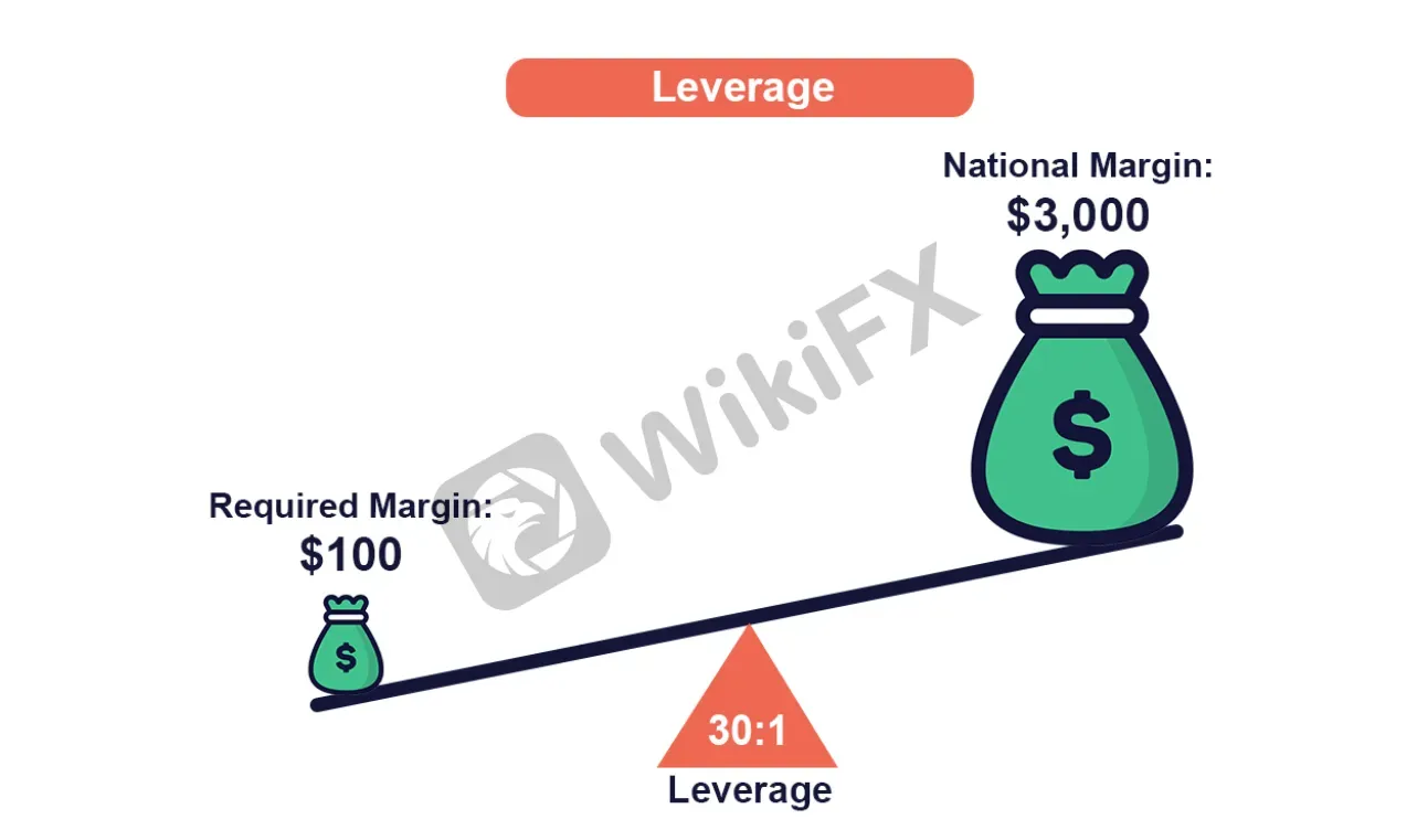 leverage leverage