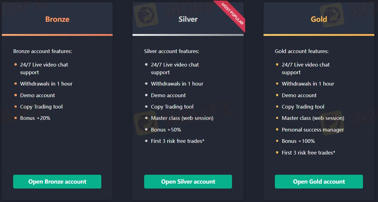 Mga Uri ng Account Mga Uri ng Account