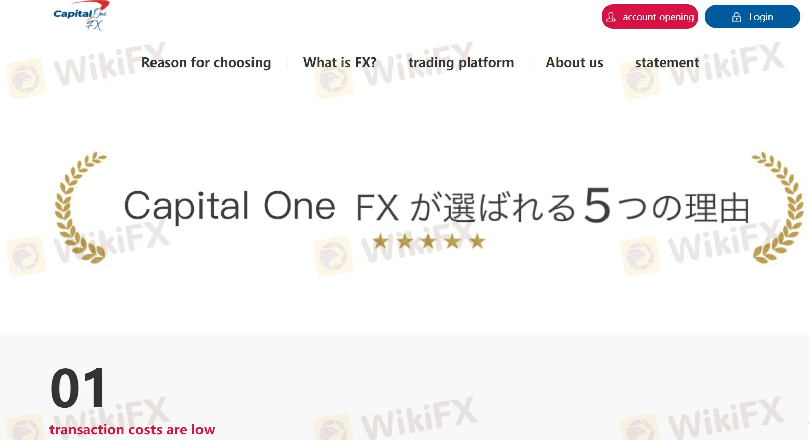 Overview of Capital One FX