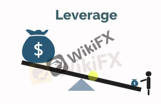leverage 