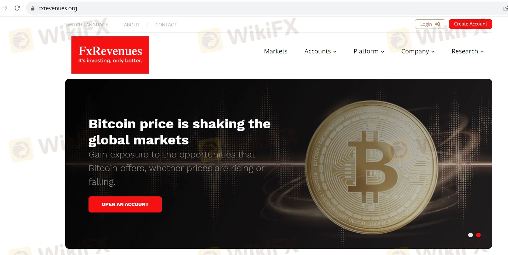 basic-info basic-info