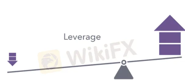leverage