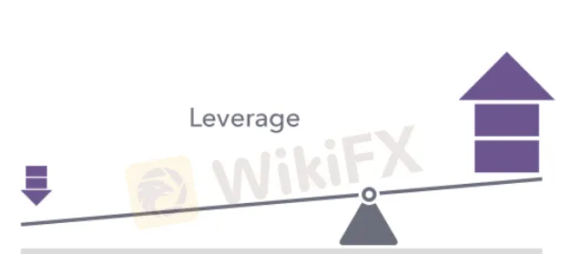 leverage 