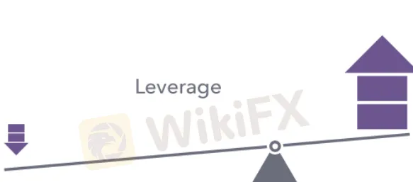 leverage leverage
