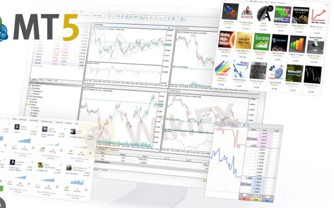 trading-platform 