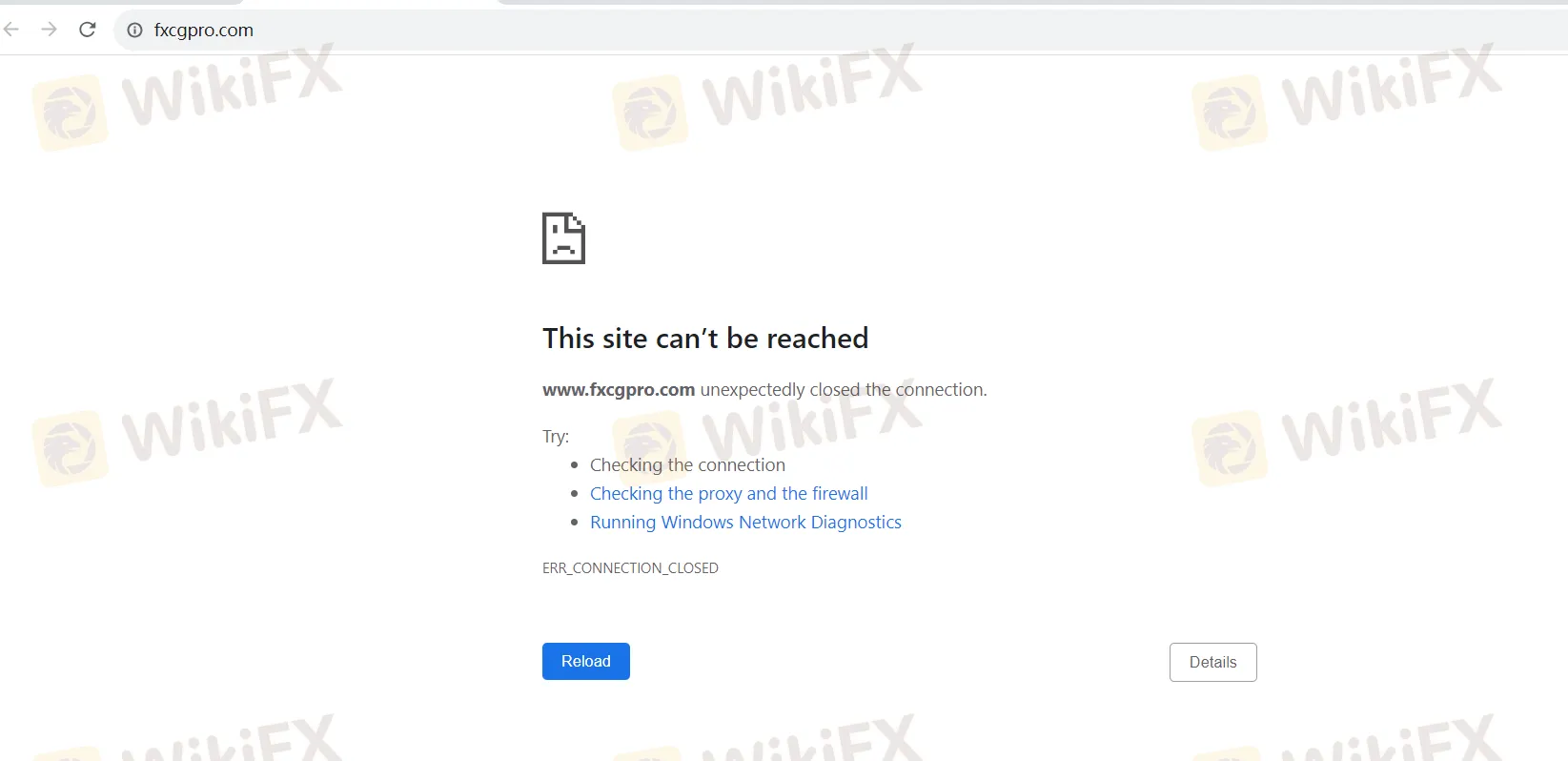 basic-info basic-info