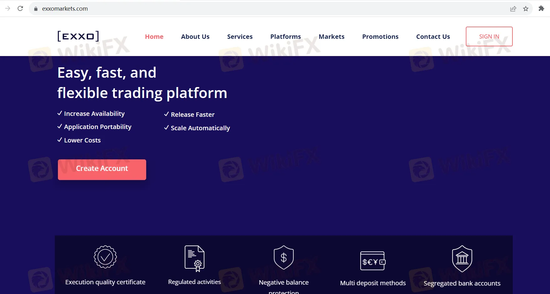 basic-info basic-info