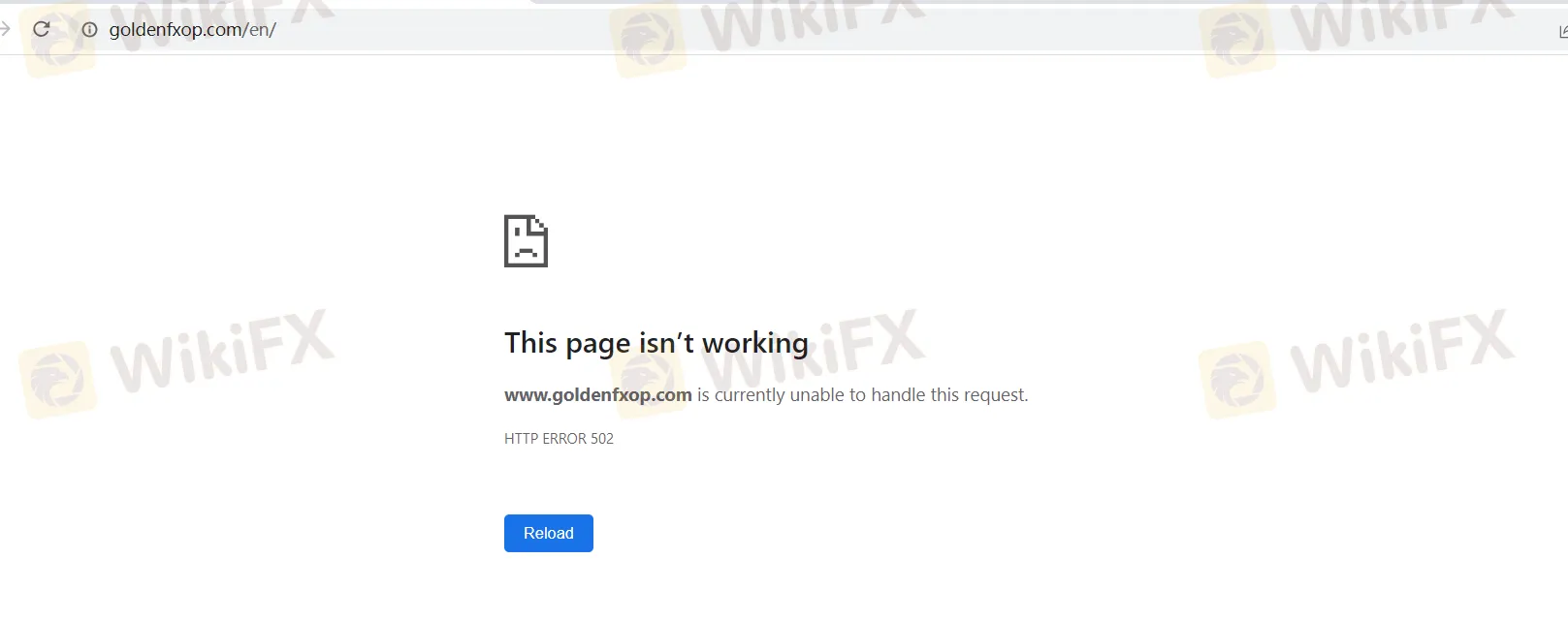 basic-info basic-info